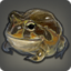 Lava Toad