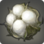 Whitefrost Cotton Boll