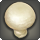 Creamtop Mushroom